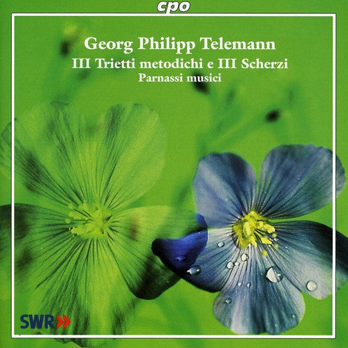J.P. KRIEGER- Ill Trietti Metodichi E Ill Scherzi (CD)-BoldPlay