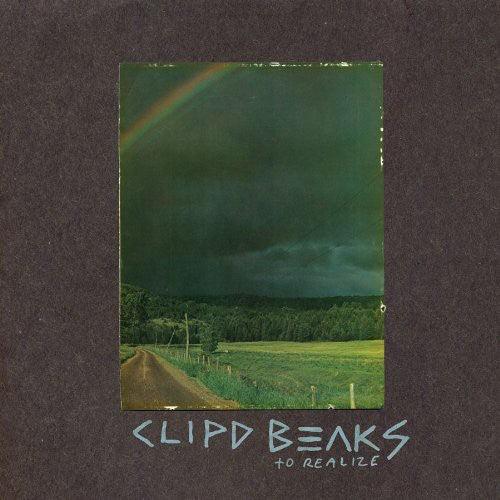 Clipd Beaks- To Realize (Vinyl)-BoldPlay
