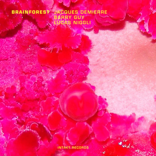 Barry Guy- Brainforest [Import] (CD)-BoldPlay