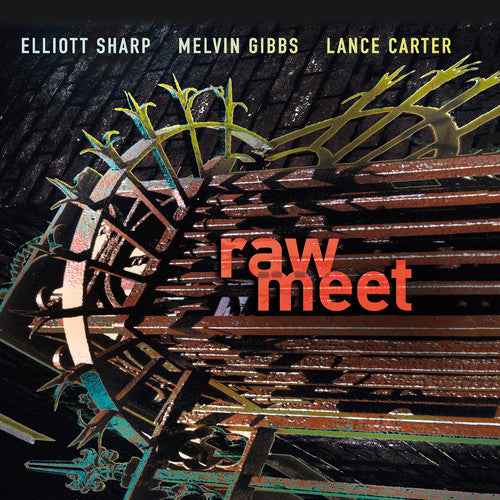 Elliott Sharp- Raw Meet [Import] (CD)-BoldPlay