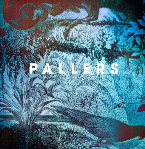 Pallers- The Sea Of Memories (Vinyl)-BoldPlay