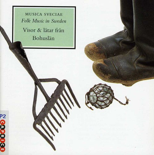 Traditional- Folk Music in Sweden 20 / Various (CD)-BoldPlay