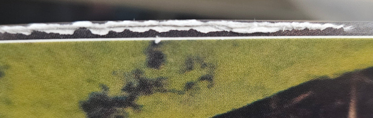 Worship This!- Mint (Clear w/ Mint/White/Black Splatter)(Top Seam Split) (Used Vinyl)-BoldPlay