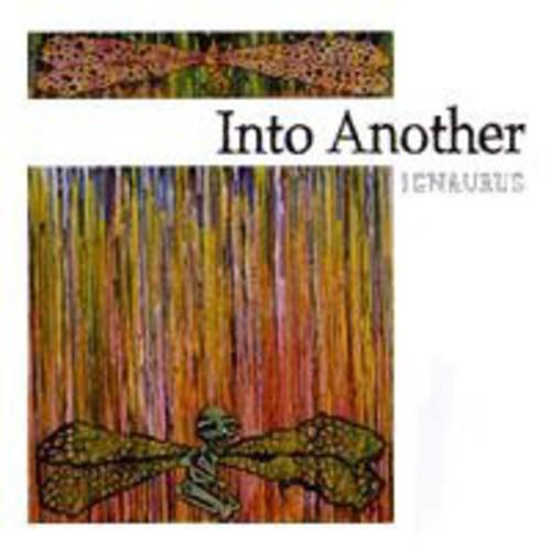 Into Another- Ignaurus (Vinyl)-BoldPlay