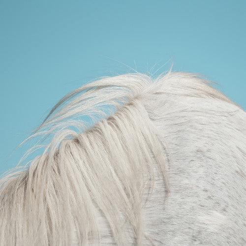 Widowspeak- All Yours (Vinyl)-BoldPlay