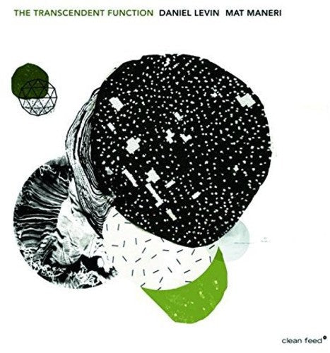 Daniel Levin- Transcendent Function (CD)-BoldPlay