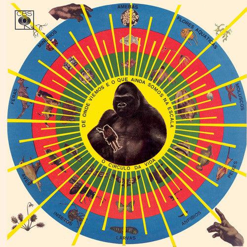 Pedro Santos- Krishnanda (Vinyl)-BoldPlay