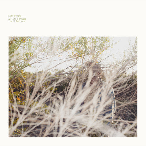 Luke Temple- A Hand Through The Cellar Door (Vinyl)-BoldPlay