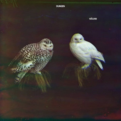 Dungen- Haxan (CD)-BoldPlay