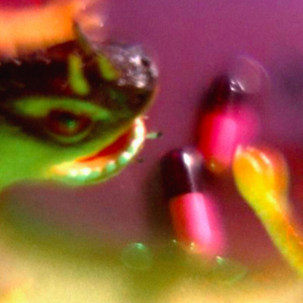 Bush Tetras- Take The Fall (CD)-BoldPlay