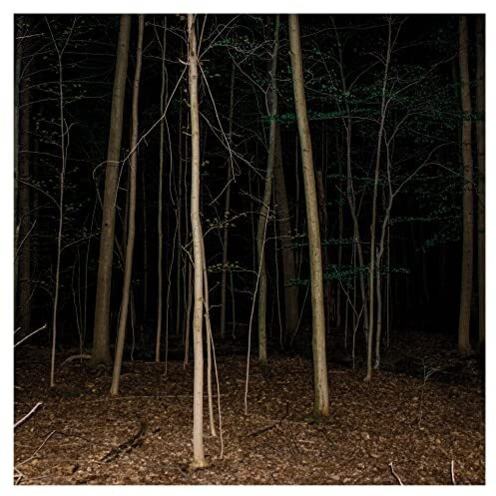 Express Rising- Fixed Rope Ii (CD)-BoldPlay
