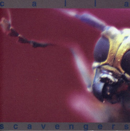 Calla- Scavengers (CD)-BoldPlay