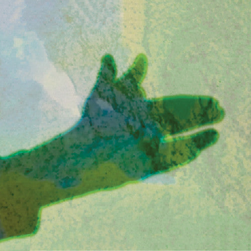 Native Instrument- Camo (Vinyl)-BoldPlay