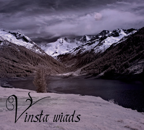 Vinsta- Wiads [Digipak] (CD)-BoldPlay