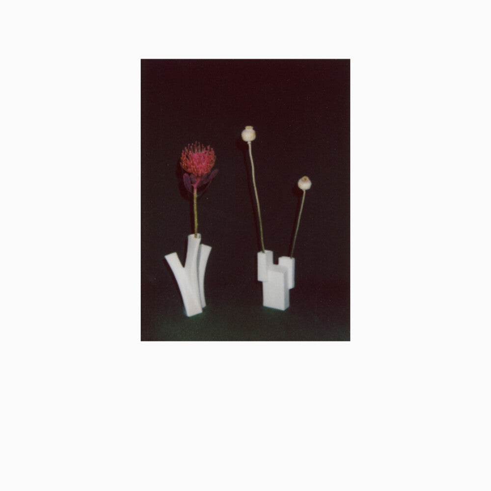 Felicia Atkinson- Flower & Vessel (CD)-BoldPlay