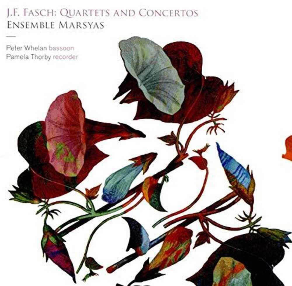 Fasch / Ensemble Marsyas / Thorby- Quartets & Concertos (CD)-BoldPlay