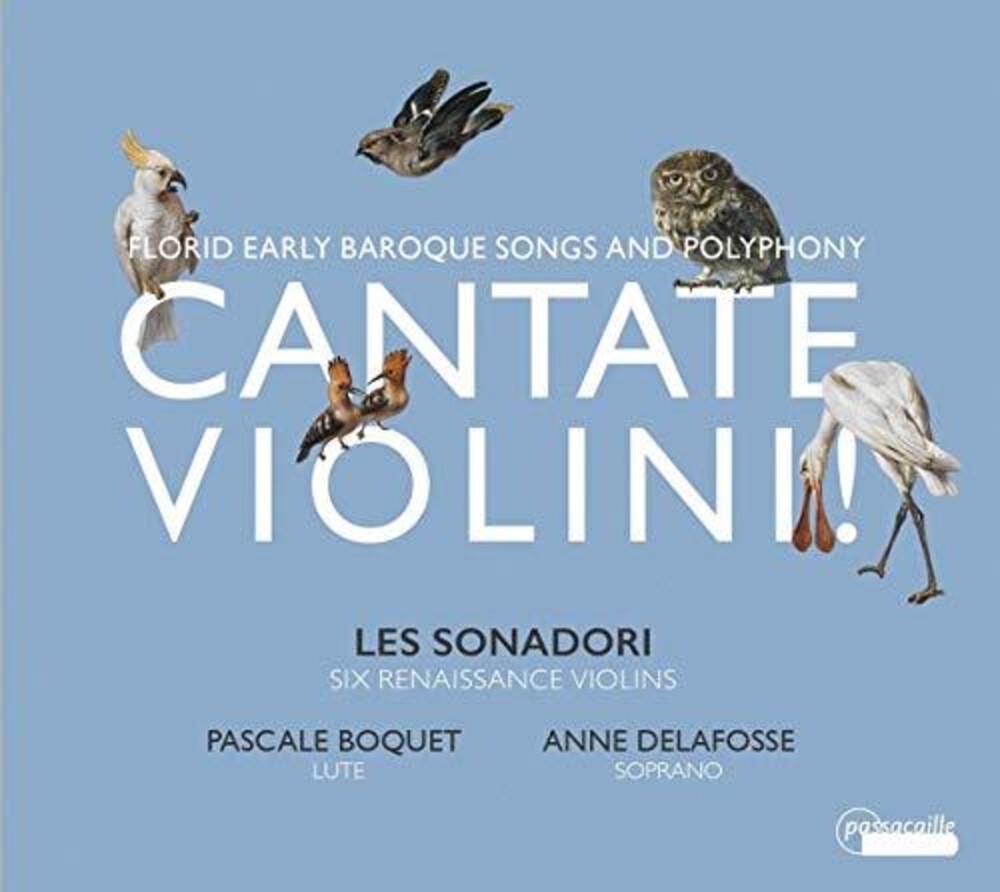 Cantate Violini / Various- Cantate Violini (CD)-BoldPlay