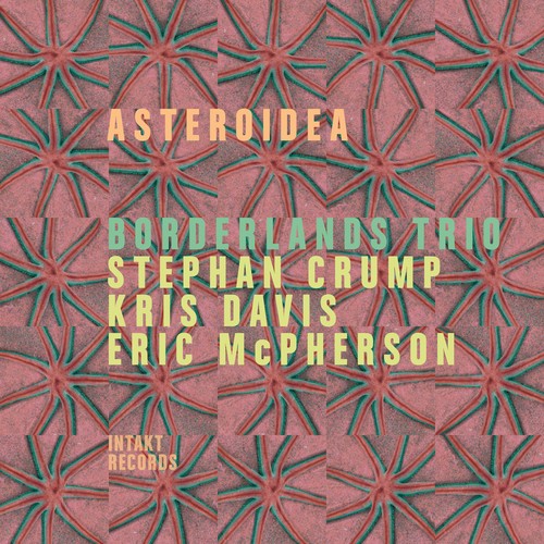 Eric Mcpherson- Asteroidea (CD)-BoldPlay