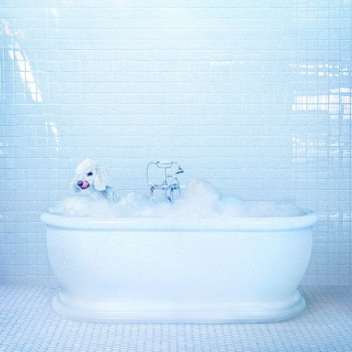 Frankie Cosmos- Vessel (CD)-BoldPlay