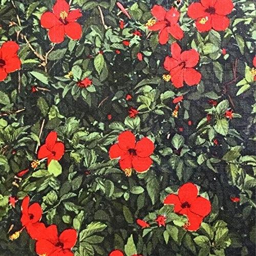 Real Live Tigers- Denatured (Vinyl)-BoldPlay