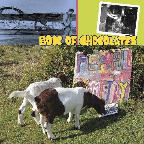 Box of Chocolates- Fearful Symmetry (Vinyl)-BoldPlay