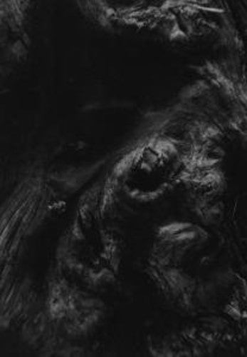 Paysage D'hiver- Steineiche [Digipak] (CD)-BoldPlay