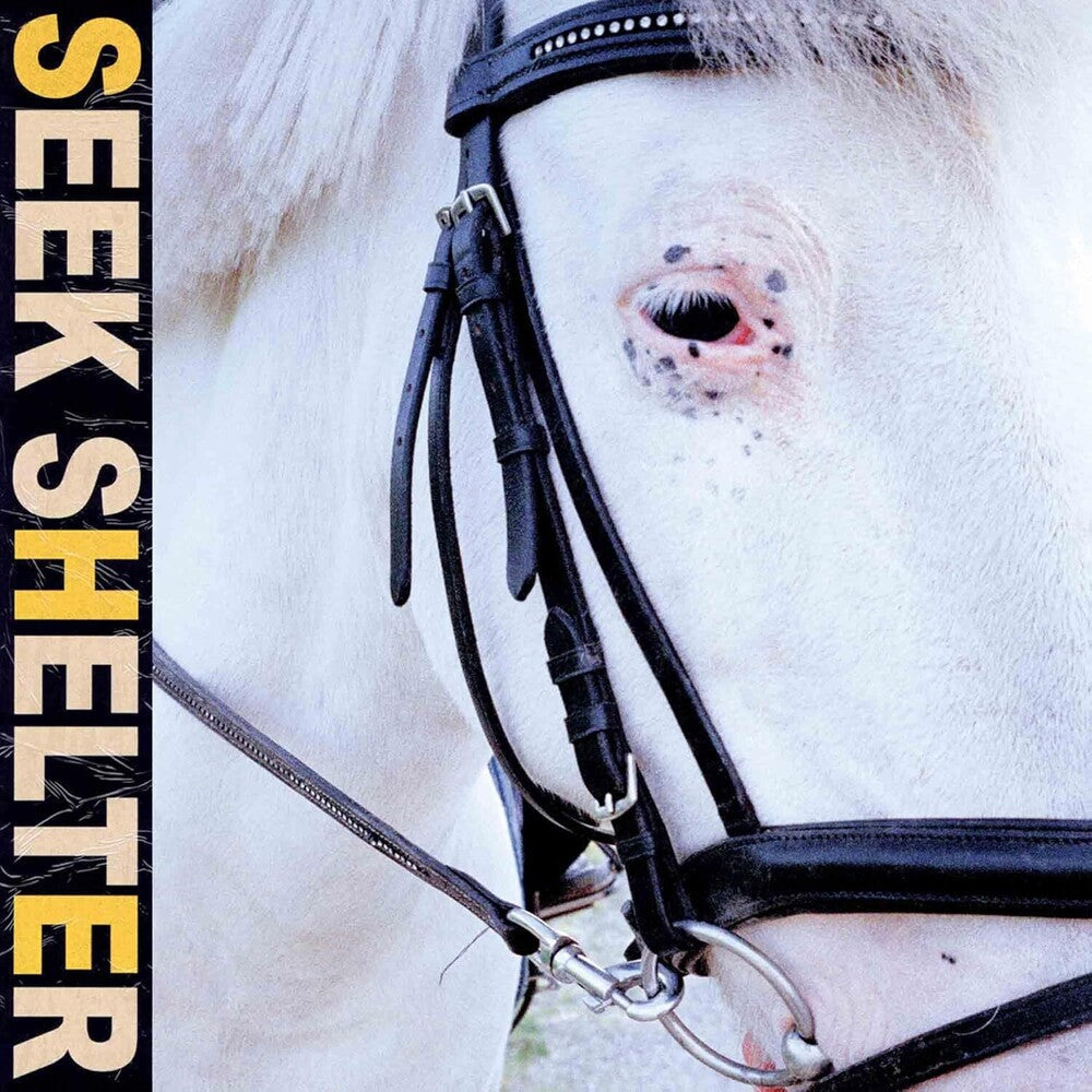 Iceage- Seek Shelter [LP] (Vinyl)-BoldPlay