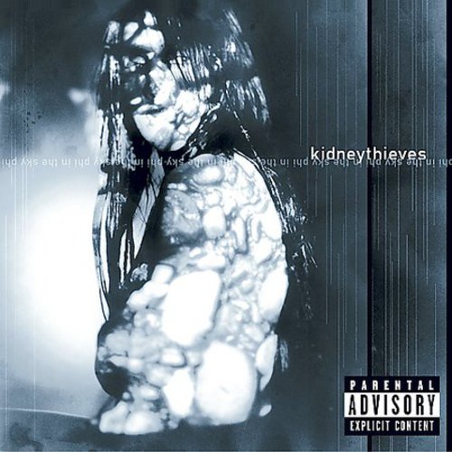 Kidneythieves- Phi in the Sky (CD)-BoldPlay