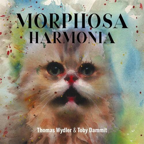 Morphosa Harmonia (Vinyl)-BoldPlay