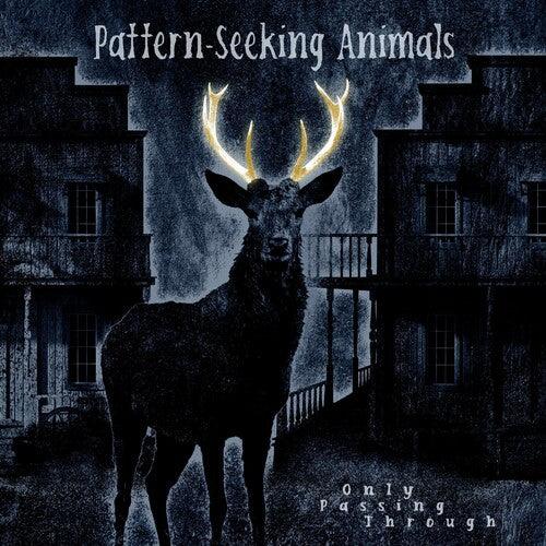Pattern-Seeking Animals- Only Passing Through (Vinyl)-BoldPlay