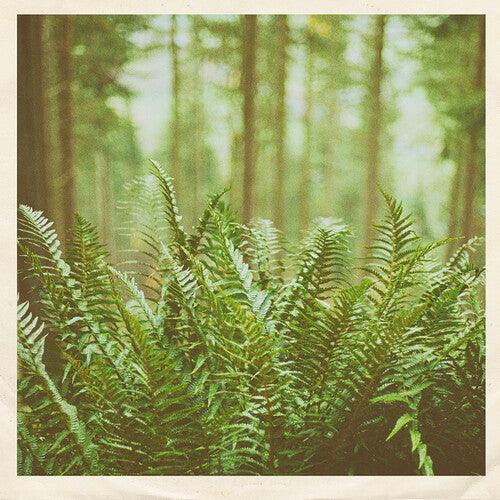 mtbrd- Just Visiting (Vinyl)-BoldPlay