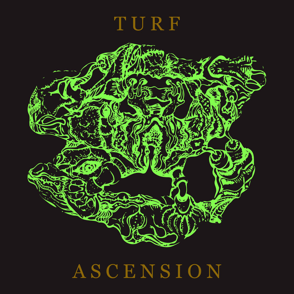 Bubblemath- Turf Ascension (CD)-BoldPlay