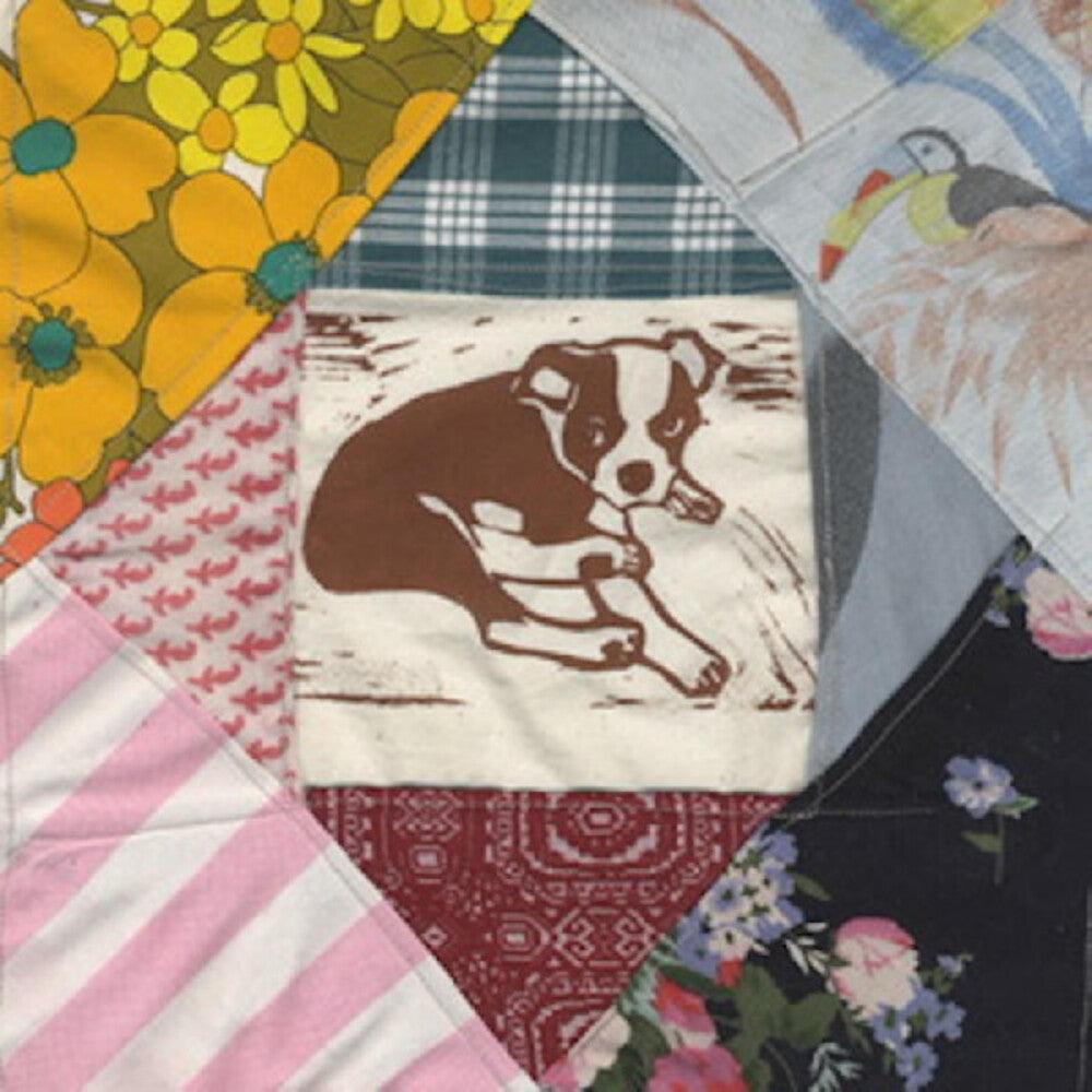 Mapache- Roscoe's Dream [LP] (Vinyl)-BoldPlay