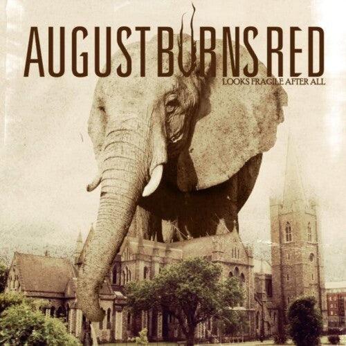 August Burns Red- Looks Fragile After All (Vinyl)-BoldPlay