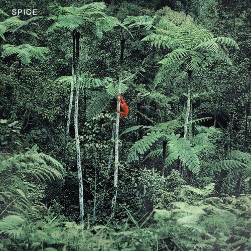 Spice- Spice - Clear Blue (Vinyl)-BoldPlay