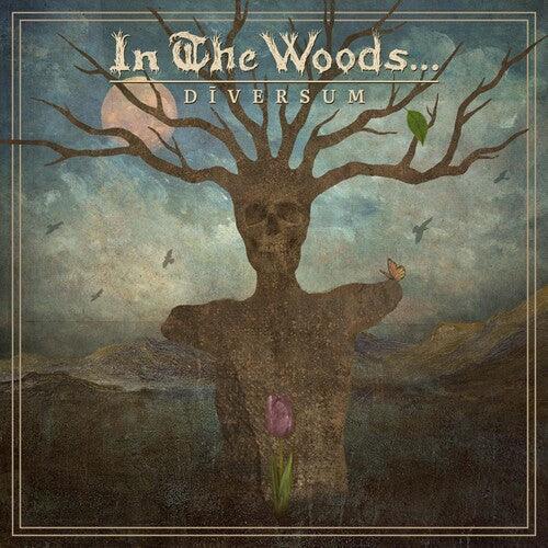 In the Woods...- DIVERSUM (Vinyl)-BoldPlay
