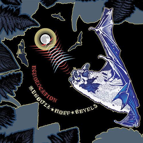 Ava Mendoza & Devin Hoff Revels- Echolocation (Vinyl)-BoldPlay