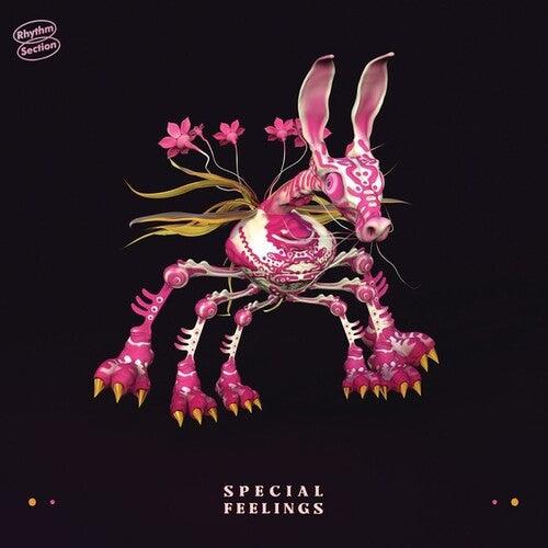Special Feelings- Special Feelings (Vinyl)-BoldPlay