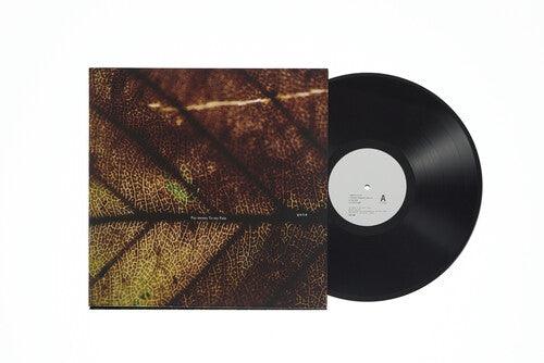 Pay Money to My Pain- gene (Vinyl)-BoldPlay