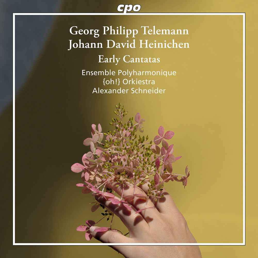 Heinichen / Telemann / Ensemble Polyharmonique- Early Cantatas (CD)-BoldPlay