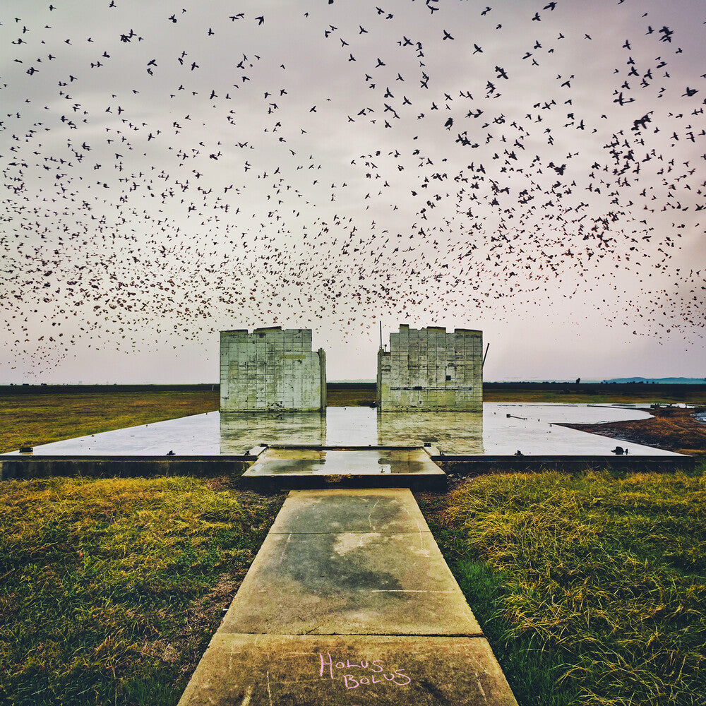 Lord Buffalo- Holus Bolus (Gate) (Vinyl)-BoldPlay