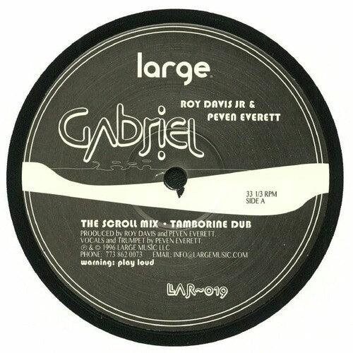 Roy Davis Jr- Gabriel (Vinyl)-BoldPlay