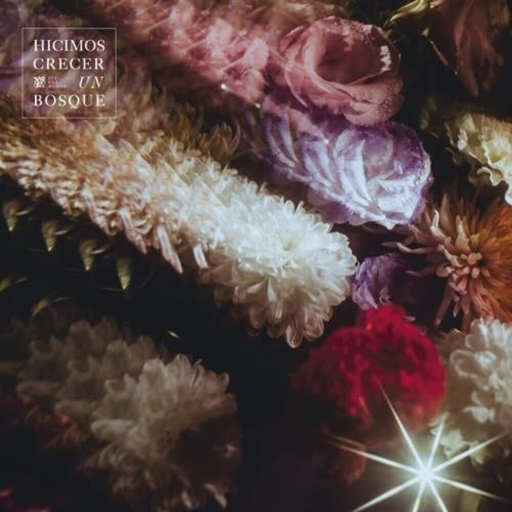 Fin del Mundo- Hicimos Crecer Un Bosque (CD)-BoldPlay