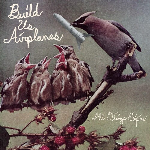 Build Us Airplanes- All Things Expire (Vinyl)-BoldPlay