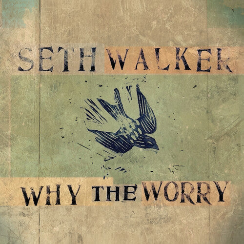 Seth Walker- WHY THE WORRY (Vinyl)-BoldPlay