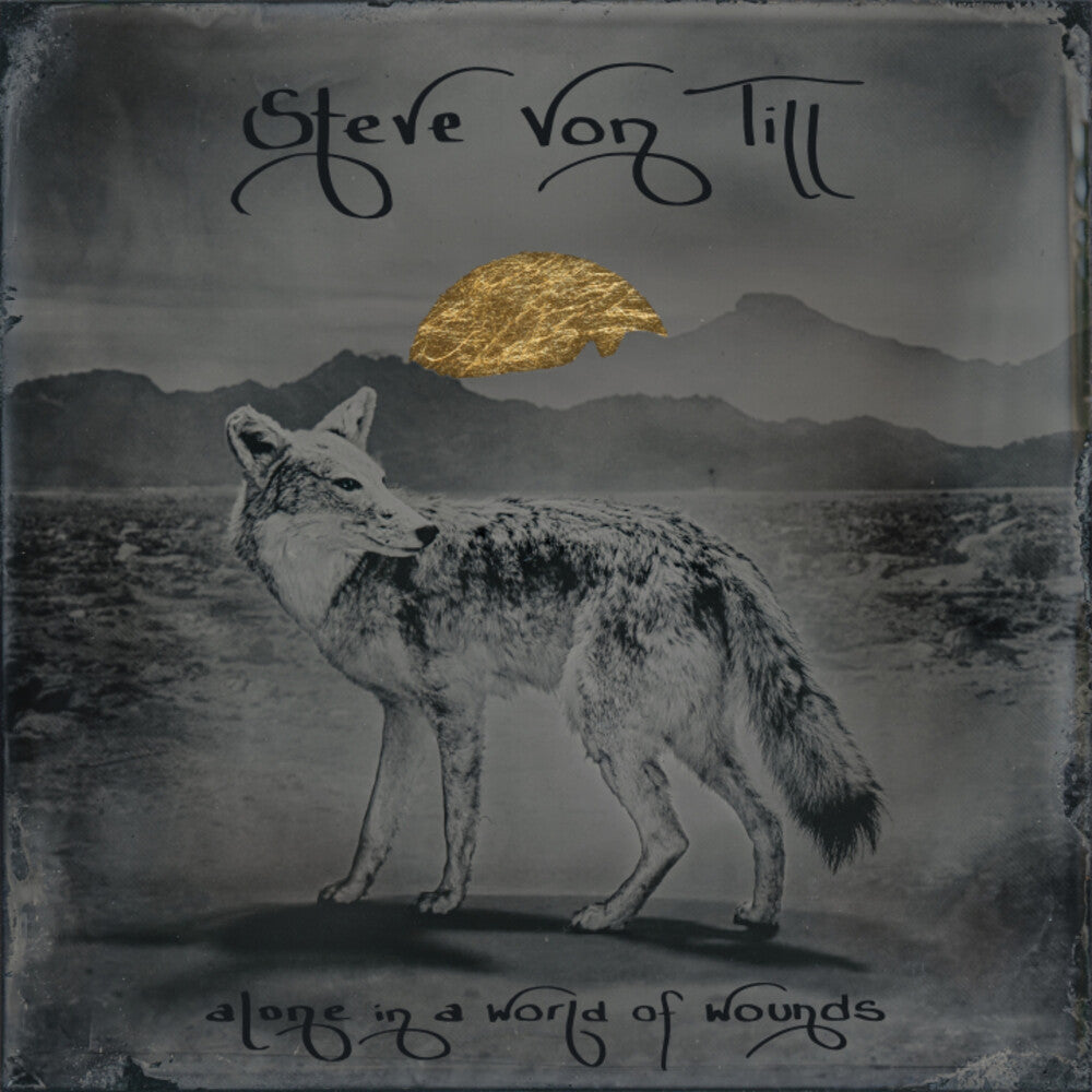 Von Till, Steve- Alone In A World Of Wounds (CD)-BoldPlay