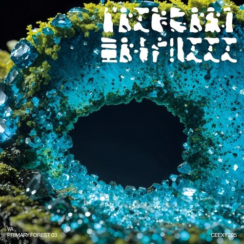 Various Artists- Primary Forest 03 (Vinyl)-BoldPlay