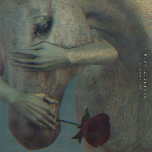 Poor Creature- All Smiles Tonight (Vinyl)-BoldPlay