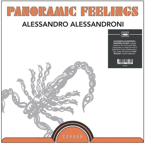 Alessandro Alessandroni- Panoramic Feelings (Vinyl)-BoldPlay
