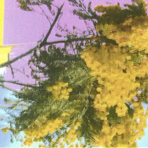 Four Tet- Into Dust (Still Falling) (Indie Exclusive Vinyl)-BoldPlay